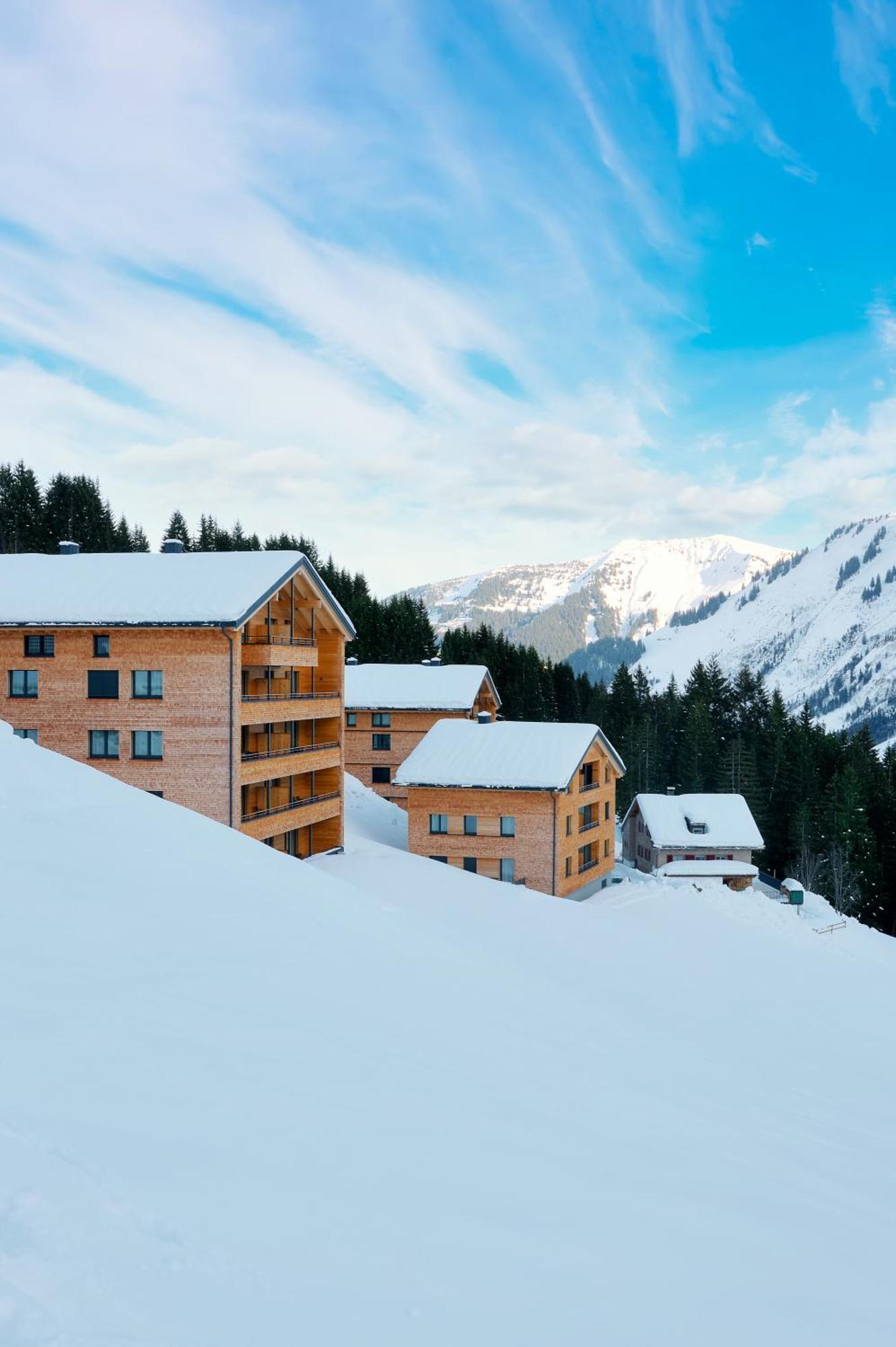Alpenstolz Damuels Haus 1 - Stilvoll Urlauben In Den Bergen公寓 外观 照片